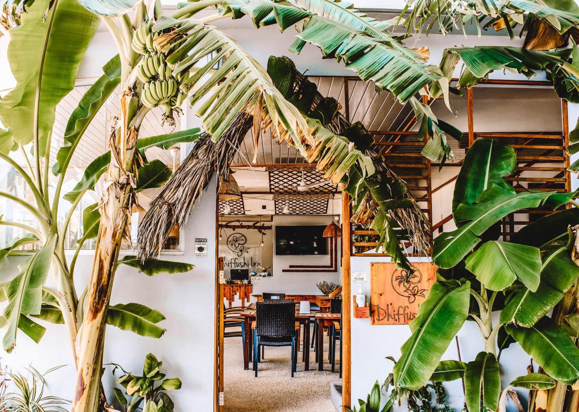 Dhiffushi Inn Dış mekan fotoğraf